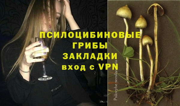 молекула духа Беломорск