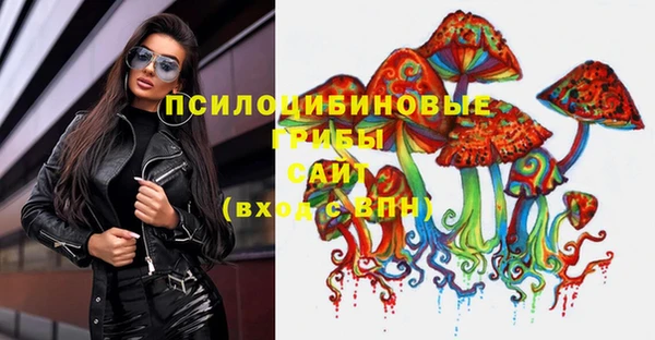молекула духа Беломорск