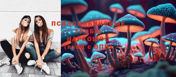 молекула духа Беломорск