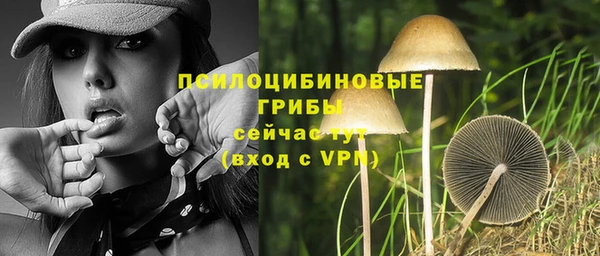 стафф Белокуриха