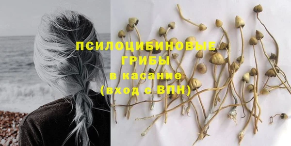 стафф Белокуриха
