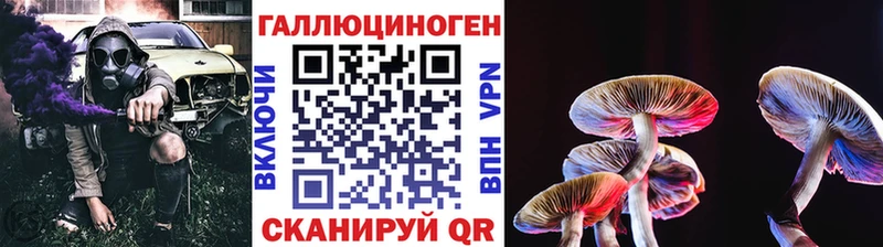 как найти   Туймазы  кракен как зайти  Псилоцибиновые грибы Psilocybine cubensis 